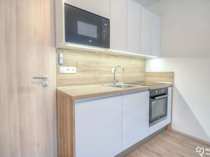 Pronájem bytu 1+kk, Olomouc, Wittgensteinova, 33 m2