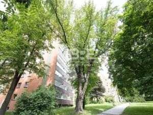Pronájem bytu 3+1, Orlová - Lutyně, Masarykova třída, 71 m2