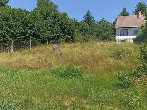 Prodej rodinného domu, Rozsochy, 220 m2