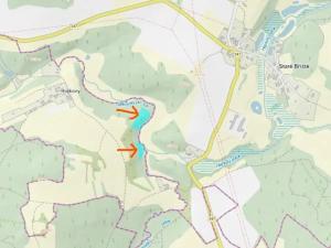 Prodej lesa, Mladé Bříště, 8461 m2
