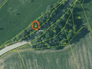 Prodej lesa, Nová Bystřice, 1241 m2