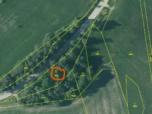 Prodej lesa, Nová Bystřice, 1382 m2