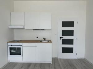 Pronájem bytu 1+kk, Milovice, Slepá, 27 m2