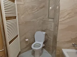Pronájem bytu 2+kk, Plzeň, Koperníkova, 61 m2