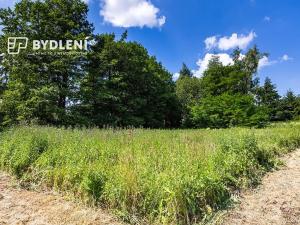 Prodej pozemku pro bydlení, Velemín, 5381 m2