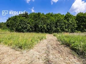 Prodej pozemku pro bydlení, Velemín, 5381 m2