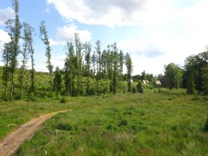 Prodej chaty, Radostín nad Oslavou - Zahradiště, 42 m2