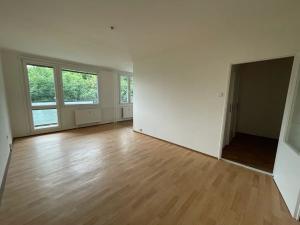 Pronájem bytu 1+1, Litvínov, Bezručova, 44 m2