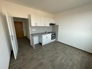 Pronájem bytu 1+1, Litvínov, U Bílého sloupu, 42 m2