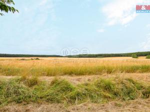 Prodej zemědělské usedlosti, Mrtník, 87 m2