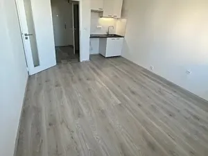 Pronájem bytu 1+kk, Brno, Halasovo náměstí, 23 m2