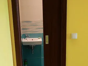 Prodej bytu 3+1, České Budějovice, Fr. Ondříčka, 70 m2