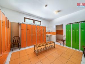 Pronájem komerční nemovitosti, Letkov, Plzeňská, 645 m2