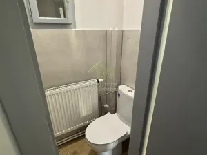 Pronájem bytu 2+1, Kralovice, 71 m2