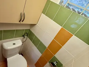 Pronájem rodinného domu, Plzeň, Na Výsluní, 170 m2