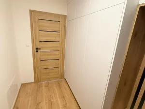 Pronájem bytu 1+kk, Přerov, Seifertova, 39 m2