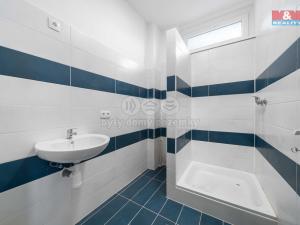 Pronájem bytu 2+kk, Strašice, 56 m2