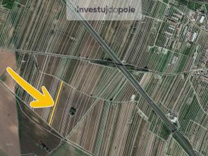 Prodej pole, Kostice, 2446 m2