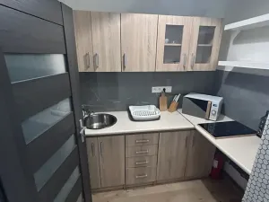 Pronájem bytu 1+kk, Olomouc, 33 m2