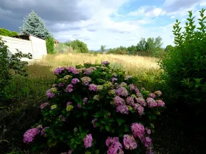 Prodej rodinného domu, Uherský Brod, 96 m2