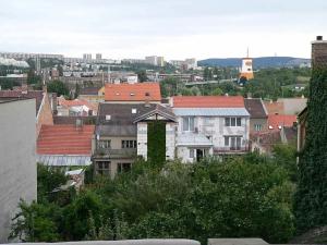 Pronájem bytu 1+1, Brno, Palackého třída, 36 m2