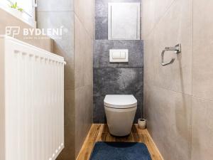 Prodej bytu 2+1, Teplice, Cajthamlova, 56 m2