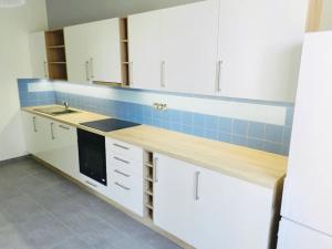 Pronájem bytu 3+kk, Praha - Žižkov, Fibichova, 80 m2