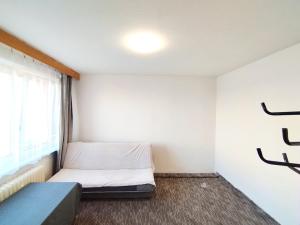 Pronájem bytu 1+1, Ostrava - Hrabůvka, Krestova, 34 m2