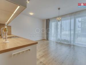 Pronájem bytu 1+kk, Plzeň, Měděná, 41 m2