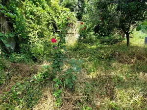 Prodej rodinného domu, Brno, Slovinská, 64 m2