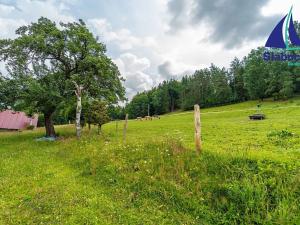 Prodej chalupy, Jablonec nad Jizerou, 180 m2