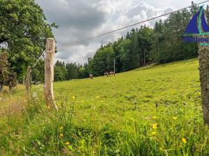 Prodej rodinného domu, Jablonec nad Jizerou, 180 m2