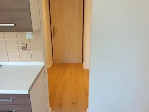 Prodej bytu 1+1, Litvínov, Horská, 33 m2