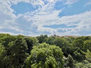 Pronájem bytu 1+1, Brno, Botanická, 41 m2