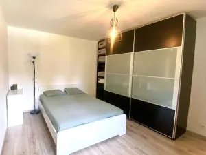 Pronájem bytu 3+1, Frýdek-Místek, Revoluční, 68 m2