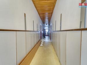 Prodej rodinného domu, Planá - Pavlovice, 1172 m2