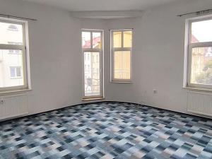 Pronájem bytu 1+1, Cheb, Svatopluka Čecha, 48 m2