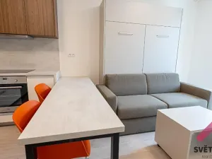 Pronájem bytu 1+kk, Praha - Žižkov, Hartigova, 32 m2