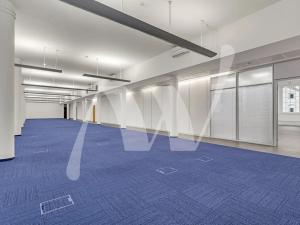 Pronájem kanceláře, Praha - Karlín, Křižíkova, 388 m2