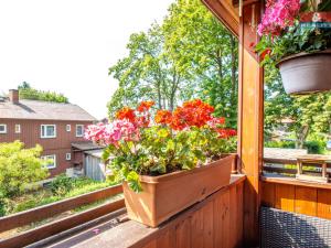 Prodej bytu 3+1, Desná - Desná I, Finská, 85 m2