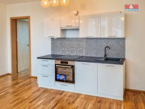 Pronájem bytu 2+kk, Praha - Libeň, Červená báň, 57 m2