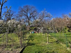 Prodej rodinného domu, Rajhrad, Ostrůvek, 95 m2