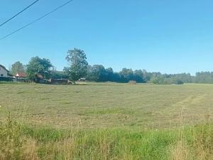 Prodej pozemku pro bydlení, Čížkov, 1000 m2