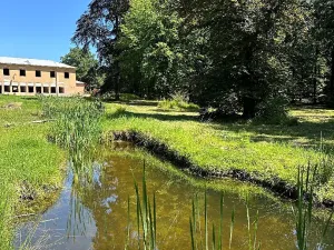 Prodej bytu 3+kk, Býchory, 81 m2