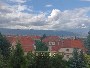 Pronájem bytu 3+1, Teplice, Polská, 110 m2