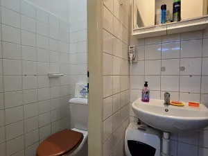 Prodej obchodního prostoru, České Budějovice, Větrná, 854 m2