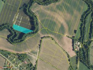 Prodej louky, Dvůr Králové nad Labem, 136924 m2