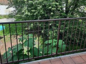 Pronájem bytu 2+kk, Brno, Pionýrská, 56 m2