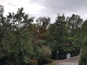 Pronájem bytu 2+kk, Brno, Pionýrská, 56 m2