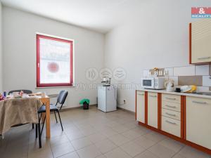 Prodej obchodního prostoru, České Budějovice, U Pily, 516 m2